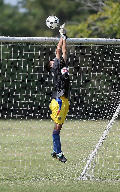 莫德里奇的 莫德里奇的