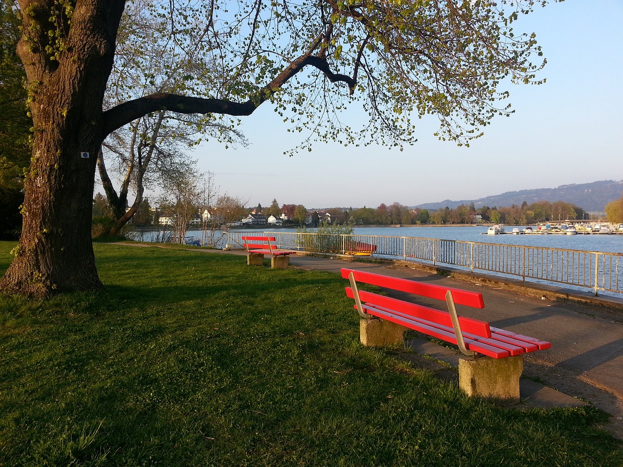 [体坛零距离]20250210 中国短道速滑队.