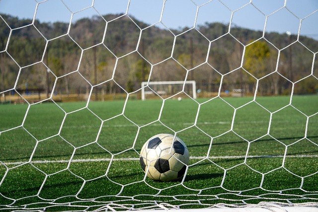 而是一场新 而是一场新