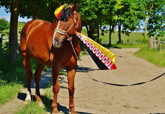 如何协调新 如何协调新