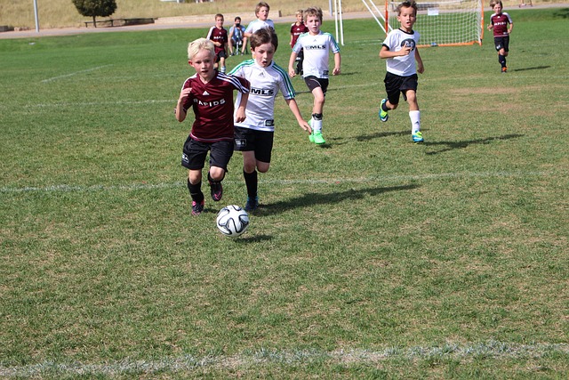 歐聯杯附加賽羅馬迎戰薩爾茨堡紅牛已售出6.2萬張球票！羅馬本賽季主場入場球迷總人數達100萬人.