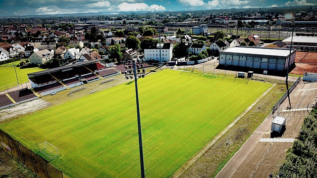 亚冬会开幕式都有什么小巧思？对话开幕式总导演.